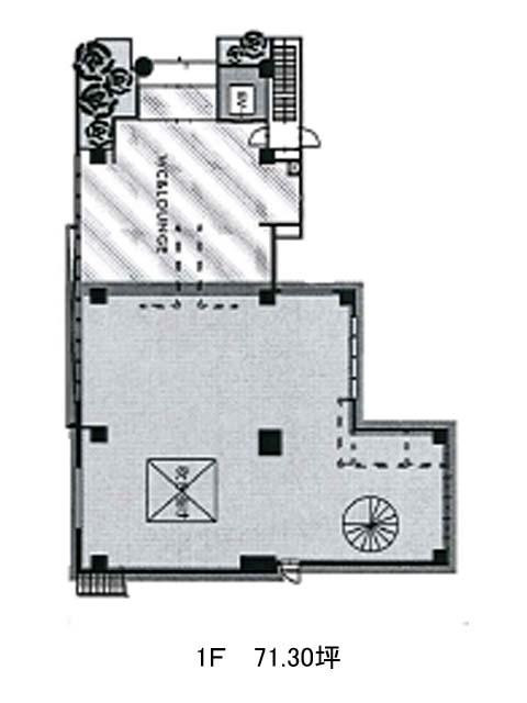 表示画像