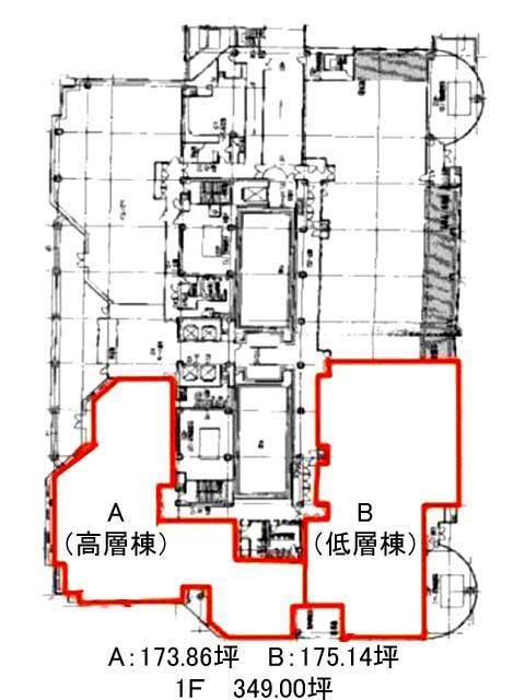 表示画像