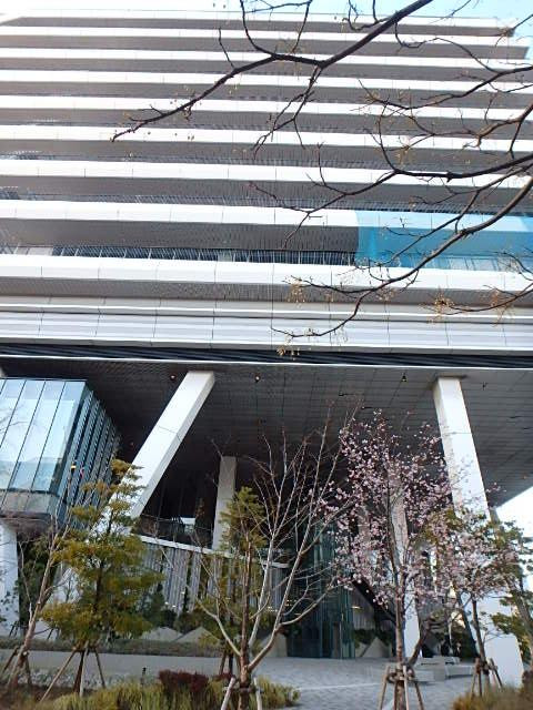 メブクス豊洲エントランス③
