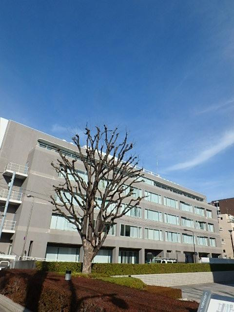 外観③