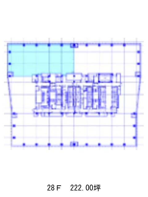 表示画像