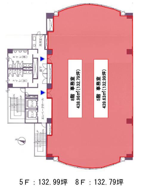 表示画像