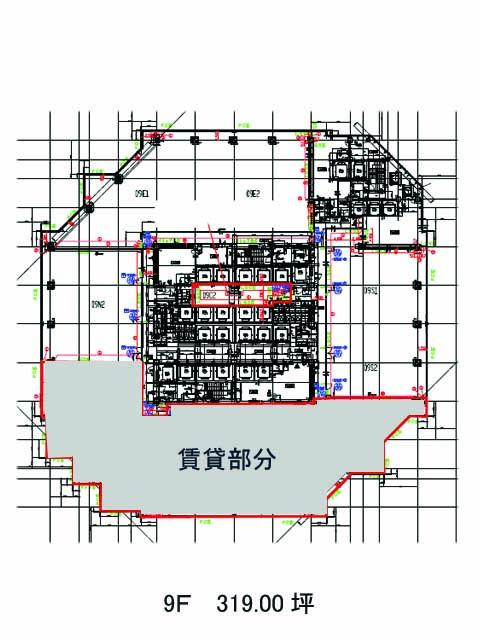 表示画像