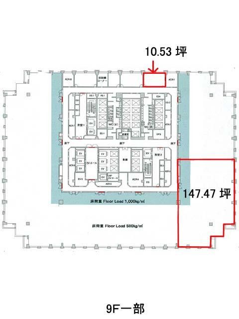 表示画像