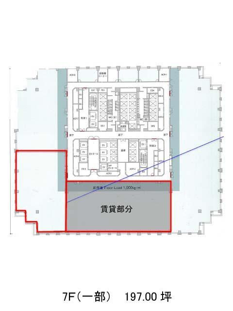 表示画像