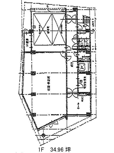 表示画像