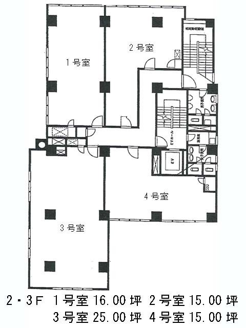 表示画像