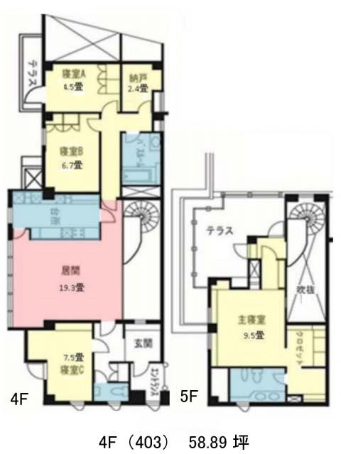 表示画像
