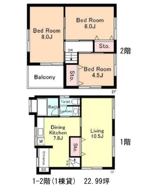 表示画像