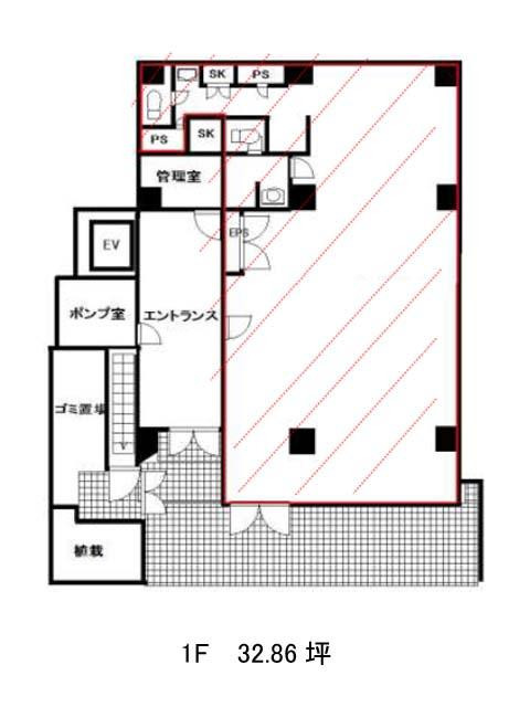 表示画像