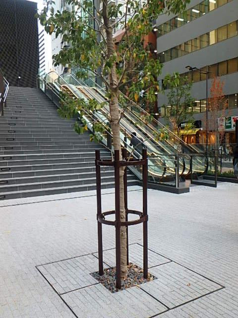 ＷＴＣ　ａｎｎｅｘエントランス①