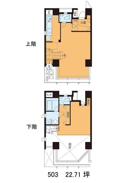 表示画像