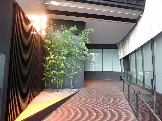 ＡＸＡＬＬ　ＲＯＰＰＯＮＧＩホール②