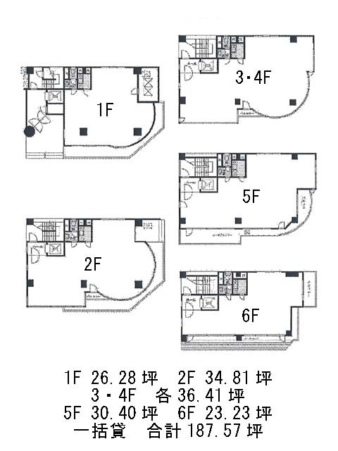 表示画像