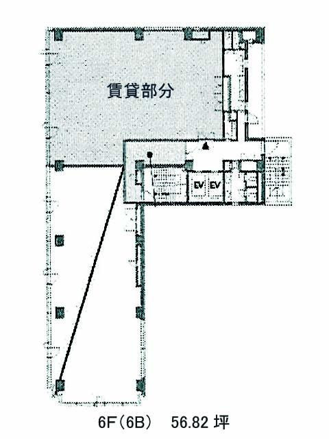 表示画像