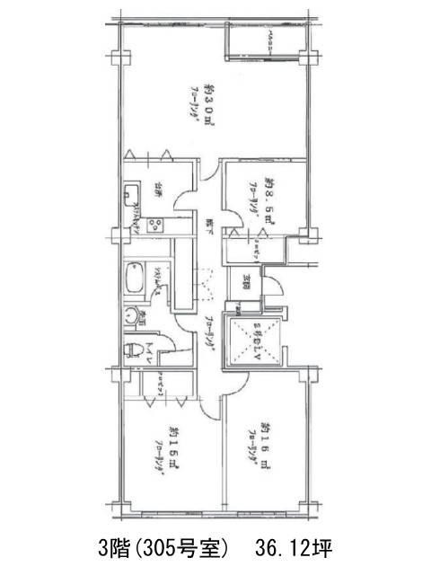 表示画像