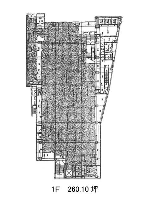 表示画像