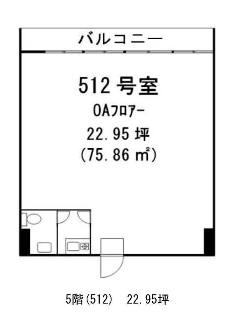 表示画像