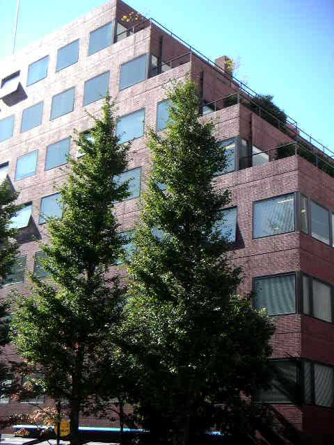 ジブラルタ生命原宿ビル外観②