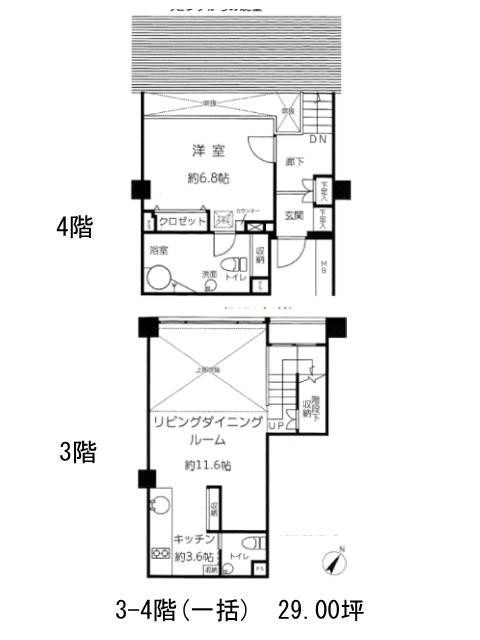 表示画像