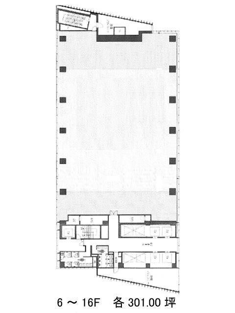 表示画像