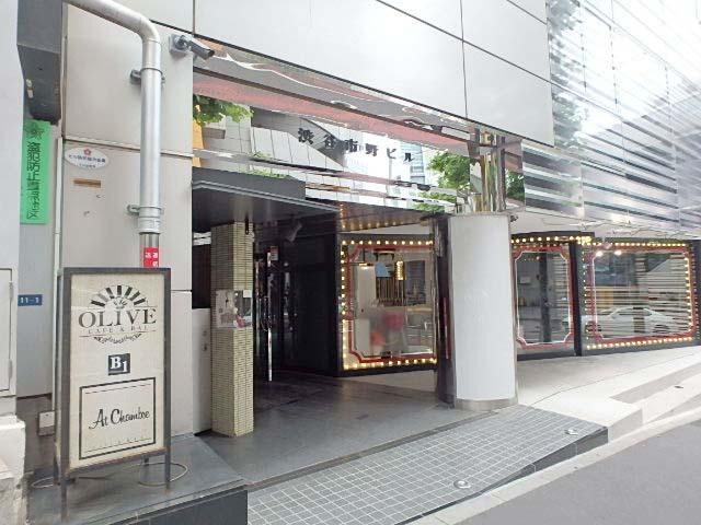 渋谷市野ビルエントランス①