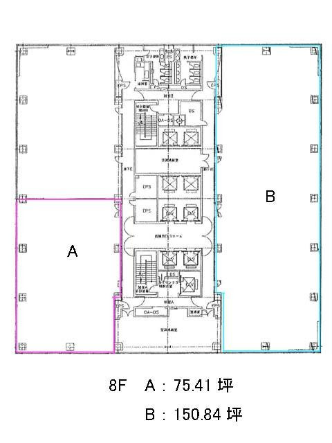 表示画像