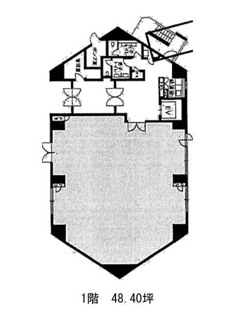 表示画像