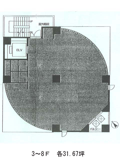 表示画像