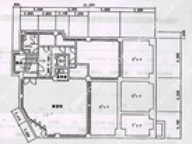 表示画像
