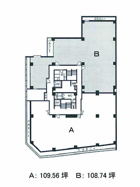表示画像