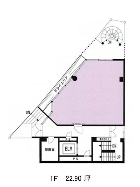 表示画像