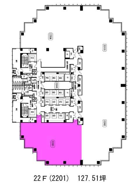 表示画像