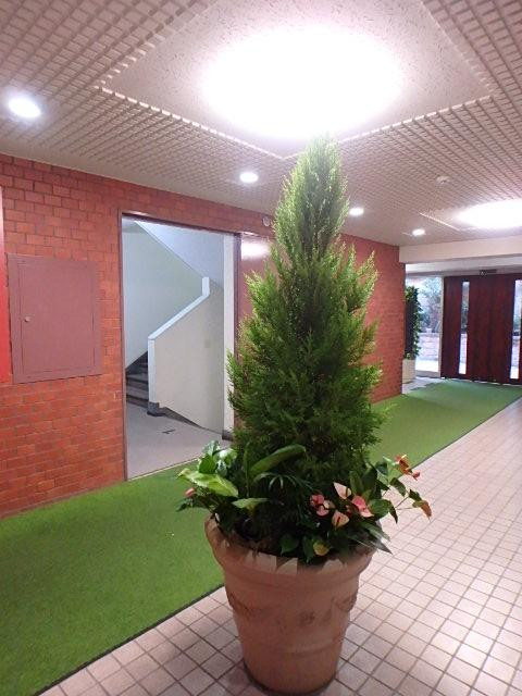 ローヤル若葉ビルホール④