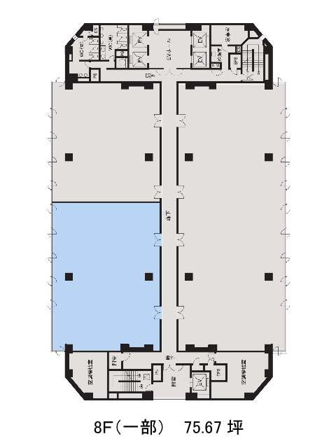 表示画像