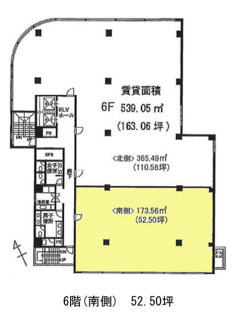 表示画像