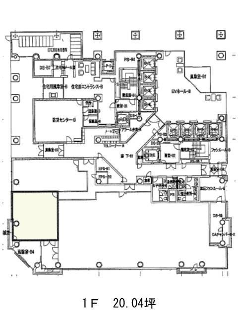 表示画像
