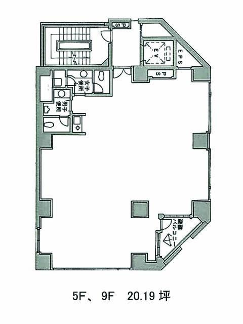 表示画像