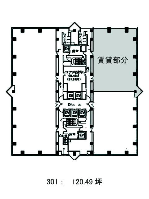 表示画像