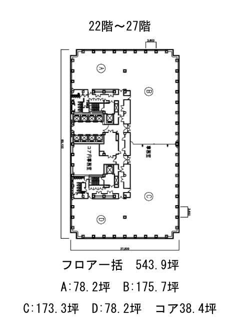 表示画像