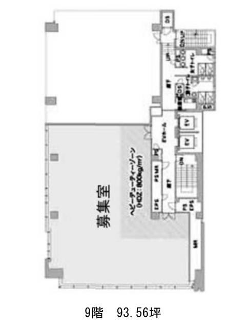 表示画像