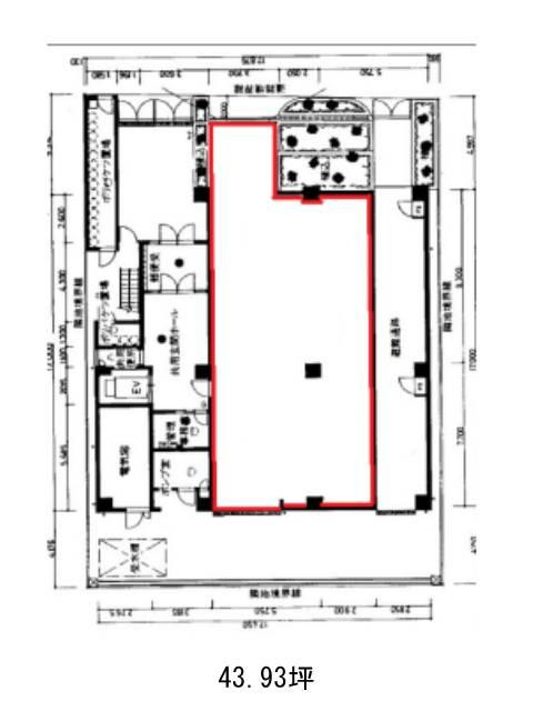 表示画像