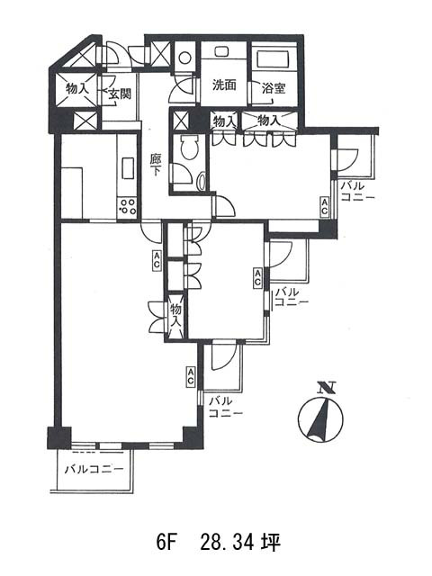 表示画像