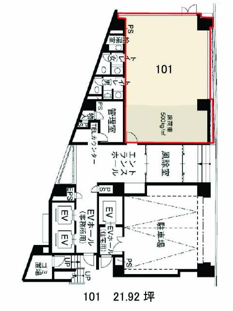 表示画像