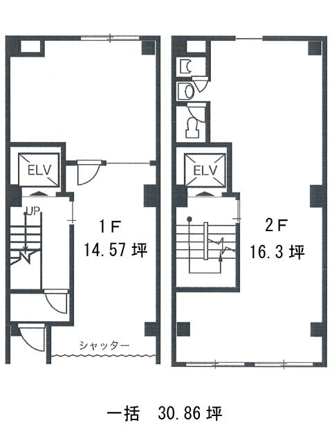 表示画像