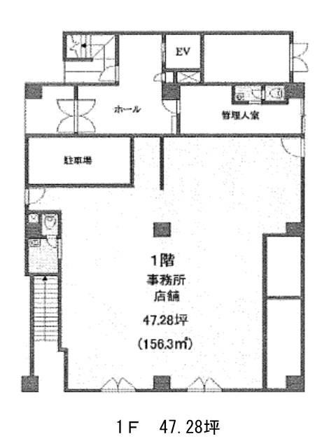 表示画像