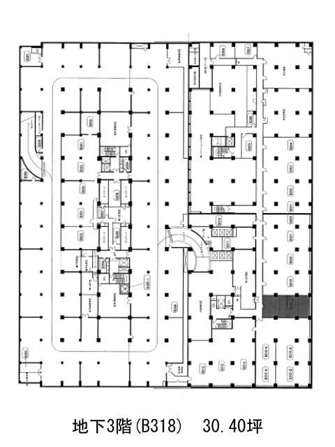表示画像