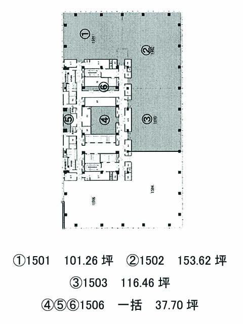 表示画像