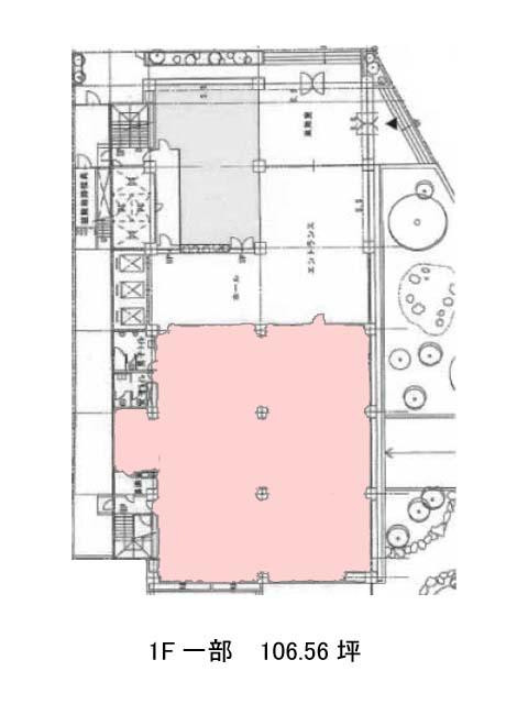 表示画像