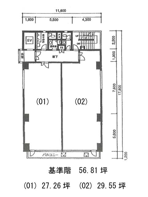 表示画像